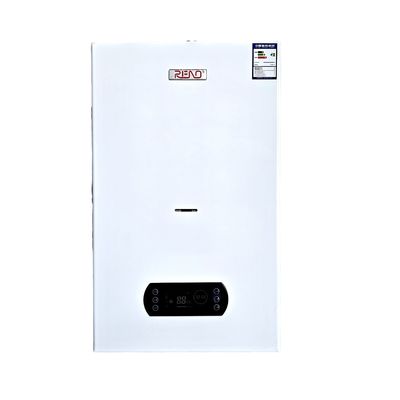 فندق شقة جدار جبل غلاية غازية 20kw 24kw 32kw ​​42kw Lpg Combi Boiler