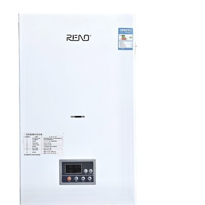 Hotel Apartment Wall Mount Gas Boiler 20kw 24kw 32kw ​​42kw Lpg Combi Boiler