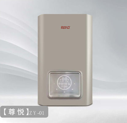 Wall Mounted Gas Condensing Boiler 30kw High Efficiency Natural Gas Boiler