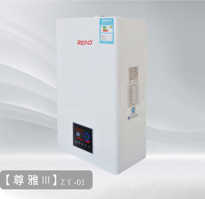 Wall Mounted Gas Condensing Boiler 30kw High Efficiency Natural Gas Boiler