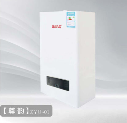 Wall Mounted Gas Condensing Boiler 30kw High Efficiency Natural Gas Boiler